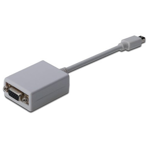 Ednet DisplayPort Mini (M) to VGA (F) Adapter